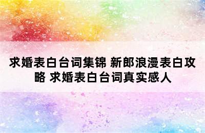 求婚表白台词集锦 新郎浪漫表白攻略 求婚表白台词真实感人